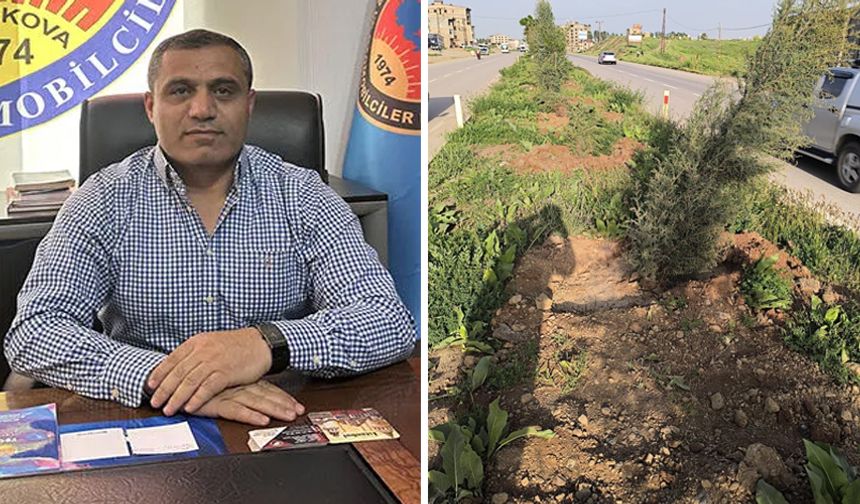 Yeni dikilen ağaçların ilk rüzgarda devrilmesine Başkan Durna tepki gösterdi