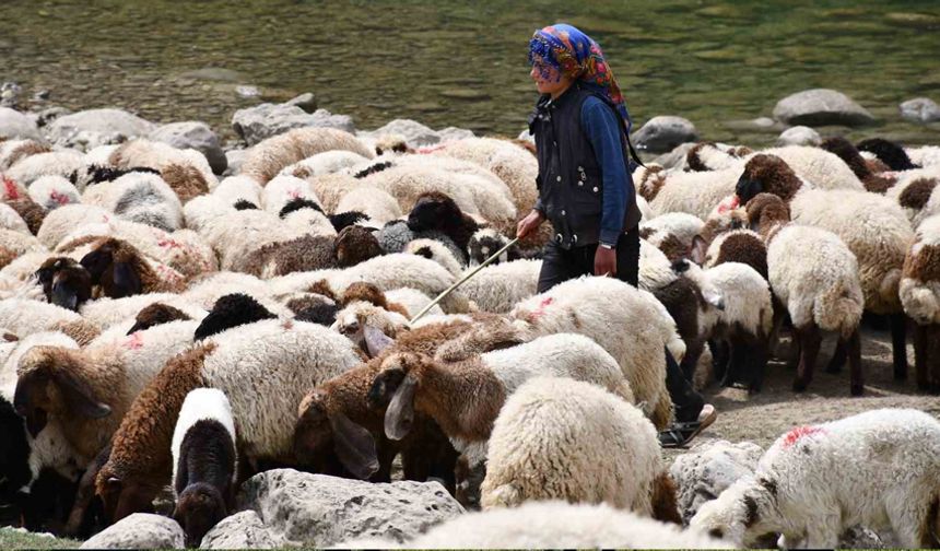 Bir çocuğun sessiz çığlığı: "Hiç oyuncağım olmadı"