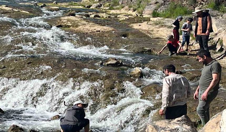 İnci kefalinin göçü yerli ve yabancı turistlerin ilgi odağı oldu