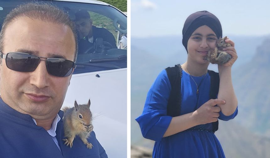 Sevimli Sincap Derecik'te Yeni Yuvasını Buldu