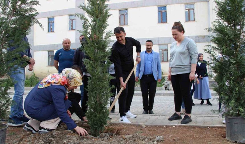Hakkari’de fidan dikimi