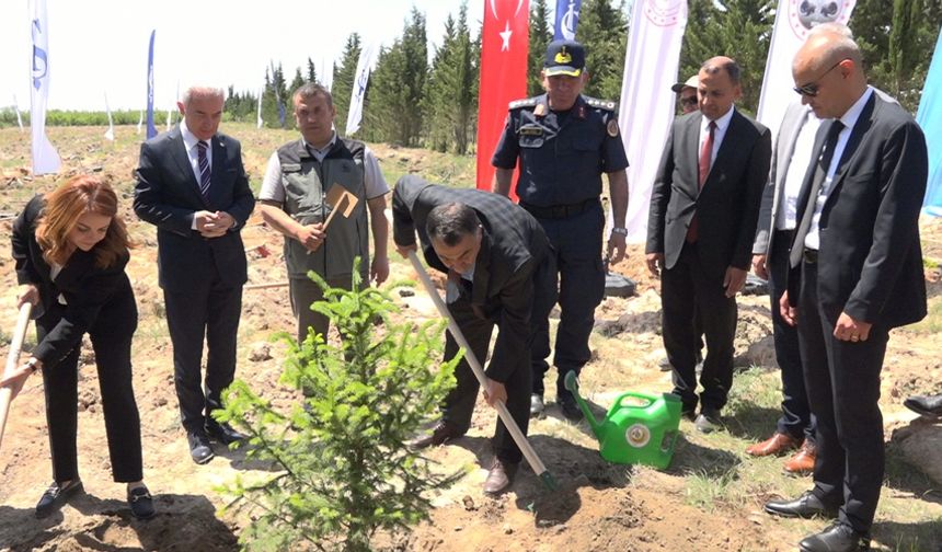 Türkiye’de 81 ilde 2,2 milyon fidan toprakla buluşacak