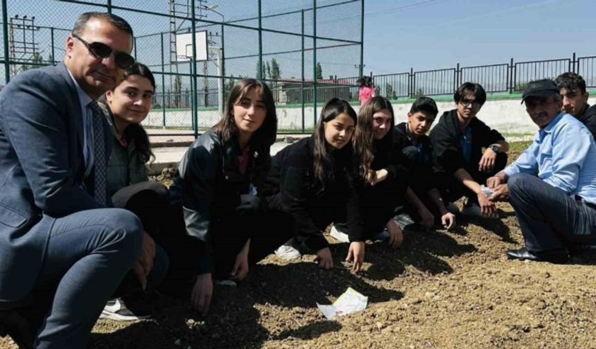 Yüksekova’da öğrenciler kendi sebzelerini yetiştiriyor
