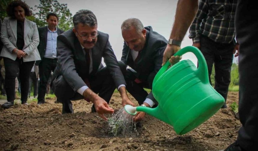 Vali Ali Çelik: Bu toprakları birlikte yeşerteceğiz