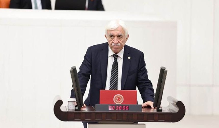 DEM Parti'nin Meclis Başkan adayı Cengiz Çandar oldu