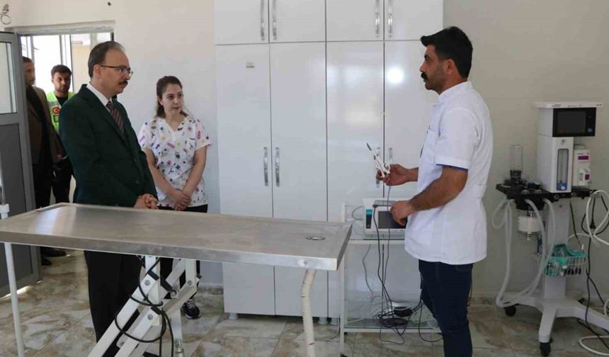 Siirt’te sahipsiz hayvanlar bu merkezde güvenli şekilde yaşamlarını sürdürüyor