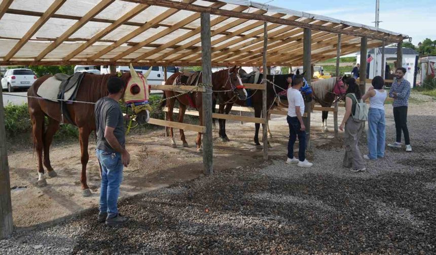 Muş’ta atlı binicilik kulübü, ata sporunu gelecek nesillere aktarıyor