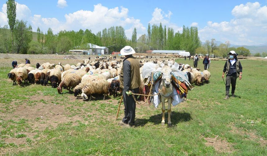 Yüksekova’da Besicilerin Zorlu Yayla Yolculuğu Başladı