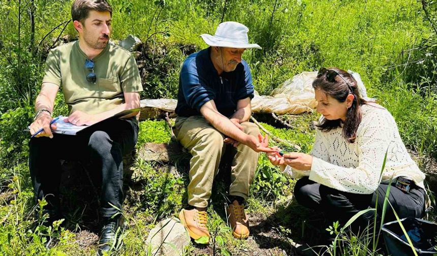 Yüksekova’da sağlık taraması için köy köy geziyorlar