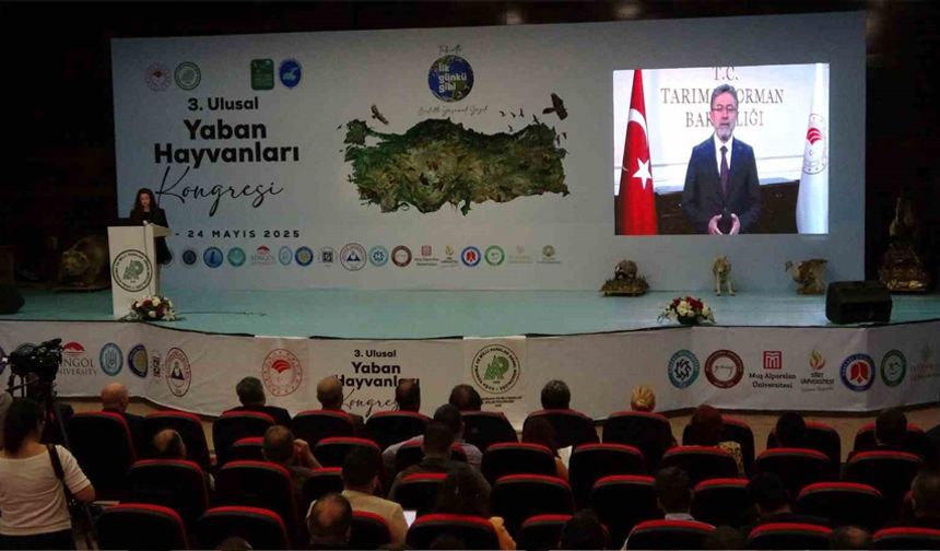 Van’da "3. Ulusal Yaban Hayvanları Kongresi" başladı