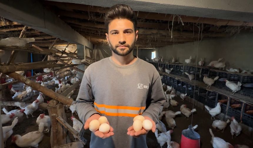 Yüksekovalı genç köyde kurduğu çiftlikle yumurta üretimine başladı