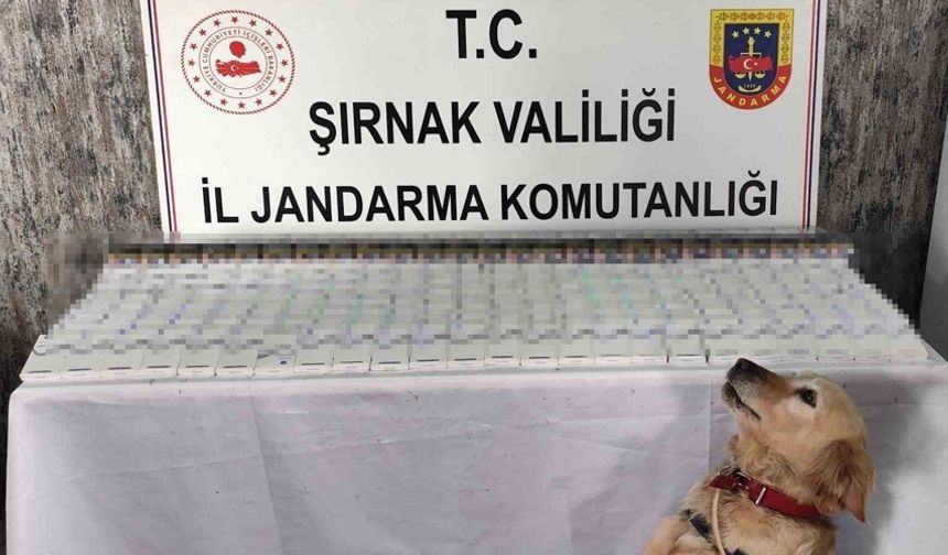 Şırnak’ta 281 bin 500 TL değerinde kaçak malzeme ele geçirildi