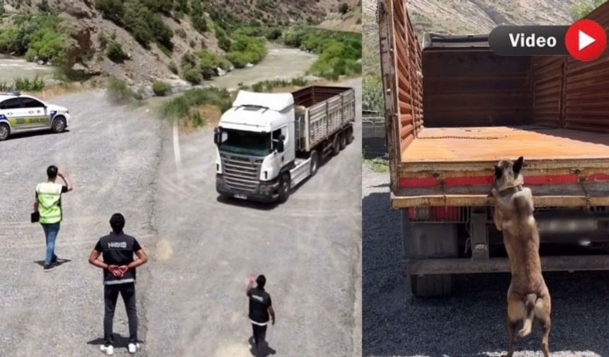 Hakkari’de Tıra Gizlenmiş 66 Kilo Metamfetamin Ele Geçirildi