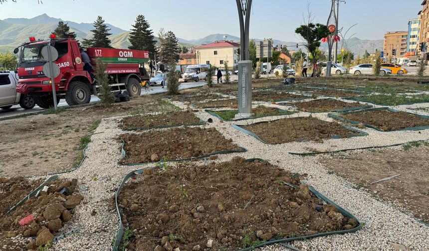 Yüksekova’nın Orta Refüjü 3 Bin Gül Fidanıyla Renkleniyor