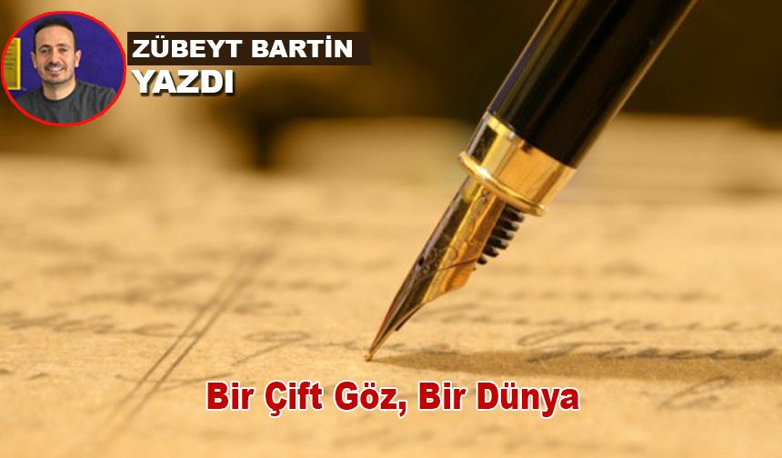Bir Çift Göz, Bir Dünya