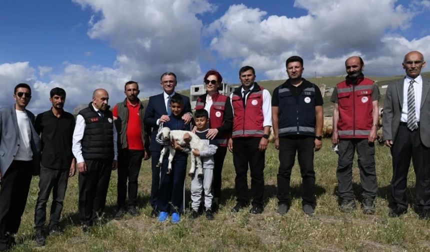Van’da 3 yılda 2 bin 375 çiftçiye 235 bin koyun desteği verildi