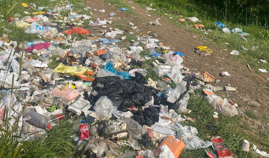 Yüksekova’da Doğa Katliamı: Piknik Alanı Çöplüğe Döndü