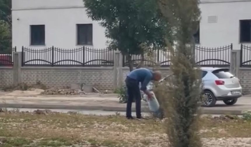 Yüksekova’da Esnaftan Örnek Davranış: Fidanları Sahiplendiler