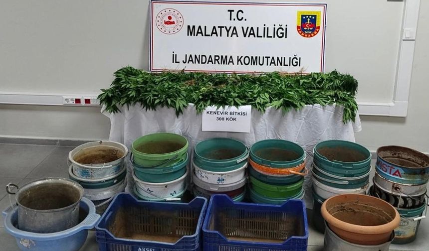 Malatya’da jandarmadan uyuşturucu operasyonu: 6 gözaltı