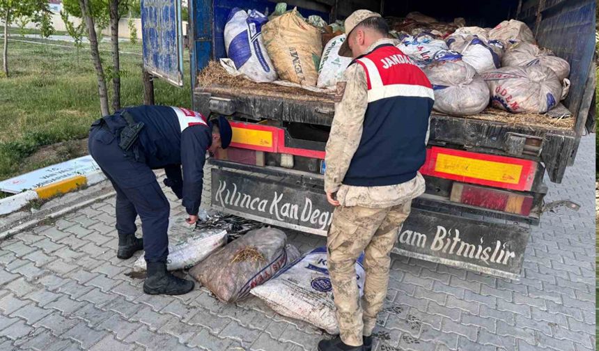 Van’da 19 ton 200 kilo inci kefali balığı ele geçirildi