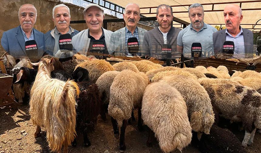 Kurban Bayramı’na Sayılı Günler Kala Hazırlıklar Hız Kazandı: Vatandaşlar Kurban alabilecek mi ?