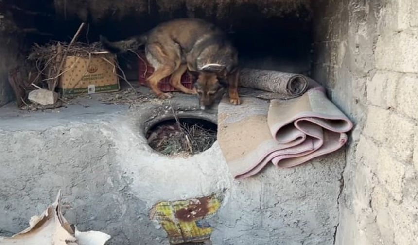 Batman’da ekmek tandırında uyuşturucu ele geçirildi