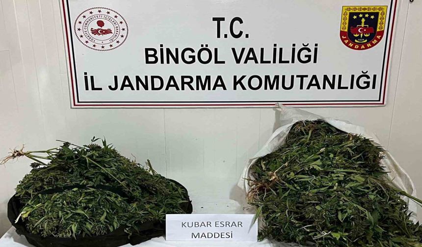 Bingöl’de bagajda ele geçirilen yaklaşık 18 kilogram uyuşturucuya 4 tutuklama