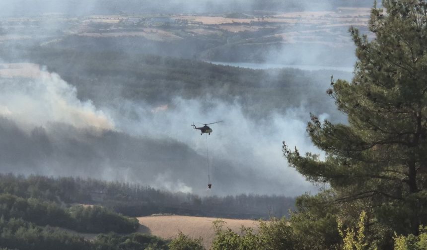 Tekirdağ’da orman yangınına havadan karadan müdahale