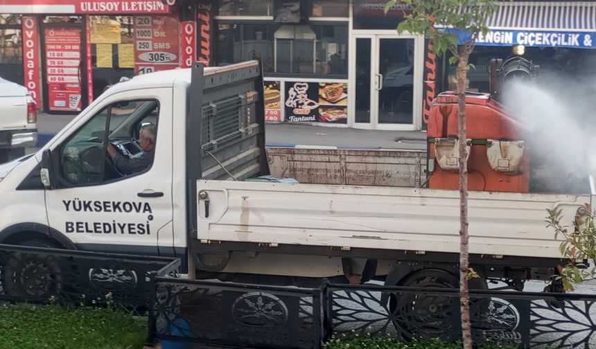 Yüksekova Belediyesi’nden Haşerelere Karşı  İlaçlama Seferberliği