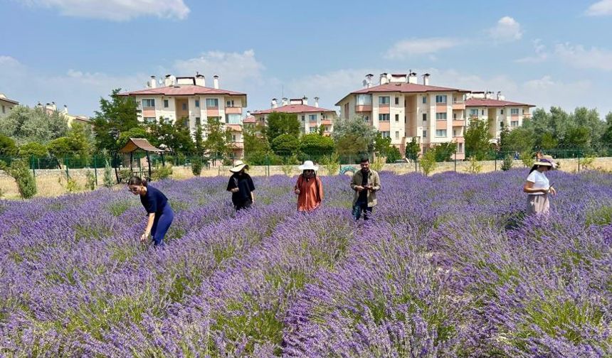 Van YYÜ’de 10 yılda 300 tür bitki yetiştirildi