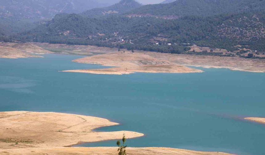 Kuraklık narenciye bahçelerini tehdit etmeye başladı