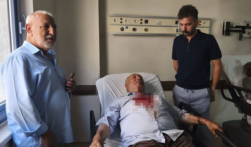 Kavgayı ayırmak isteyen imam darbedildi