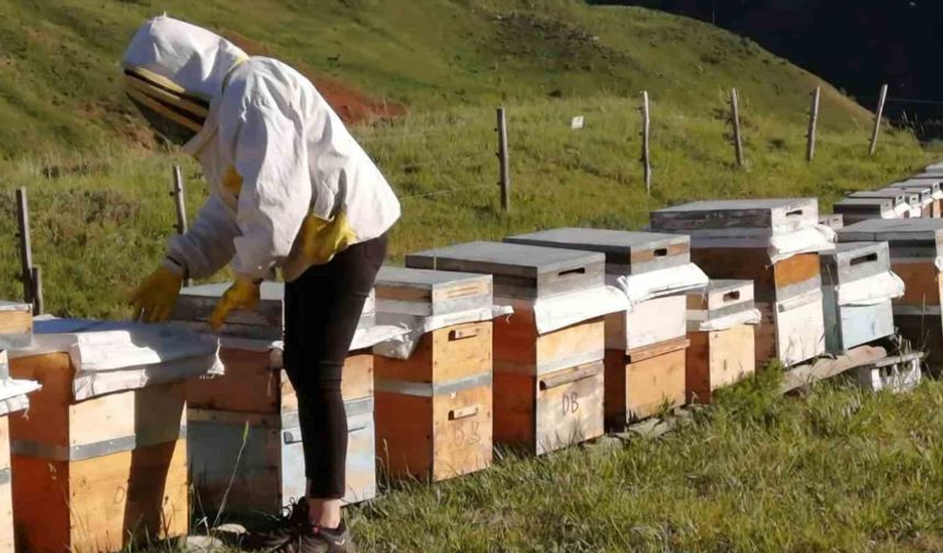 Tunceli Arıcı Yetiştiricileri Birliği bal alım fiyatlarını açıkladı