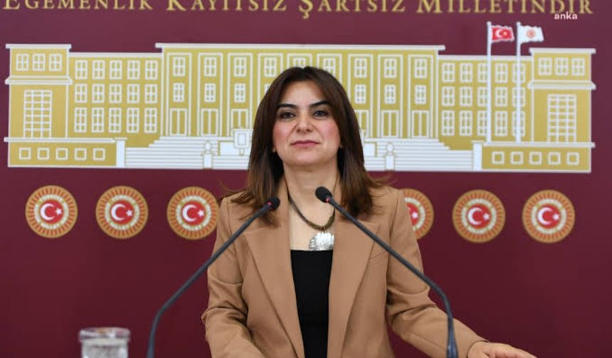 Koçyiğit: “Yüksekova’da Kalp Damar Cerrahisi Olmaması Sağlık Hakkının İhlalidir”