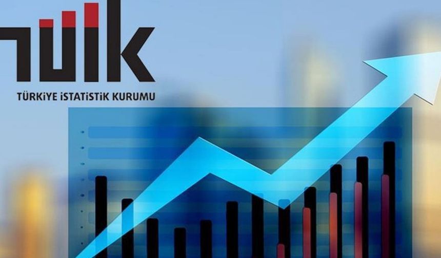 TÜİK, temmuz ayı enflasyon verilerini açıkladı