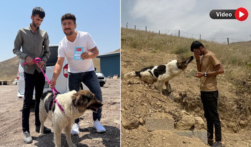 Yüksekova’da Esener Ailesi Sadık Köpeği Ceylan Ertem’e Teslim Etti