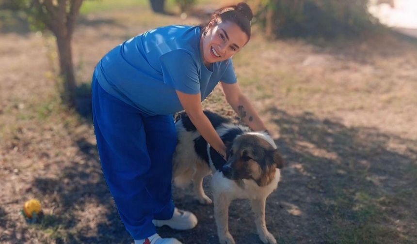 Hayatını Kaybeden Muğdat’ın Vefalı Köpeğini Ceylan Ertem Sahiplendi