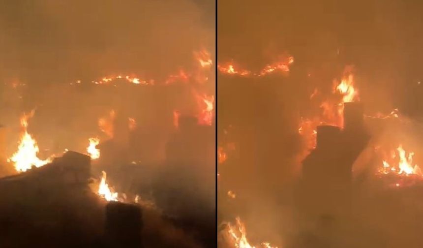 Hakkari’de İtfaiye ekipleri alevlere müdahale etti