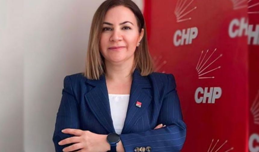 Yüksekova’da Doğalgaz Krizi: CHP İl Başkanı’ndan Tepki