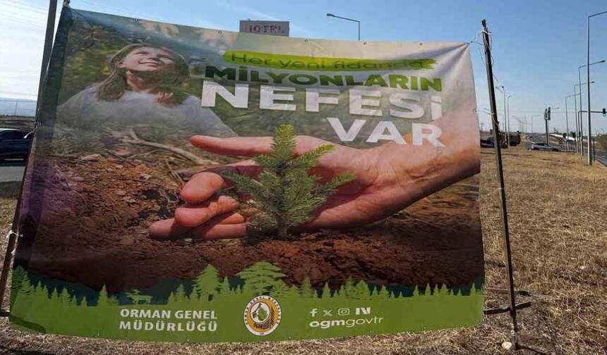 Cizre’de havalimanı yolu 450 fidan ile yeşilleniyor