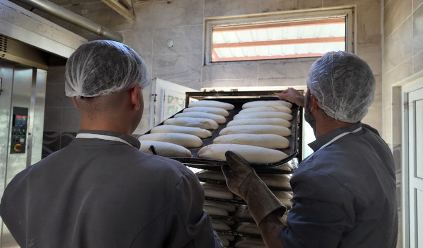 Siirt’te bu okul fabrika gibi çalışıyor: Yıllık 2 milyon ciro