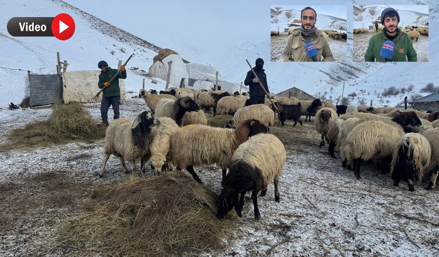 Yüksekova’da besicilerin zorlu kış mesaisi başladı