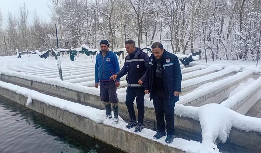 Van’da zorlu kış şartlarında alabalık üretimi mercek altında