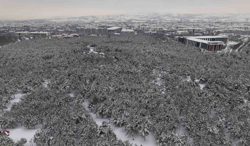 Elazığ’da beton yığınlarının arasındaki beyaz vaha mest etti