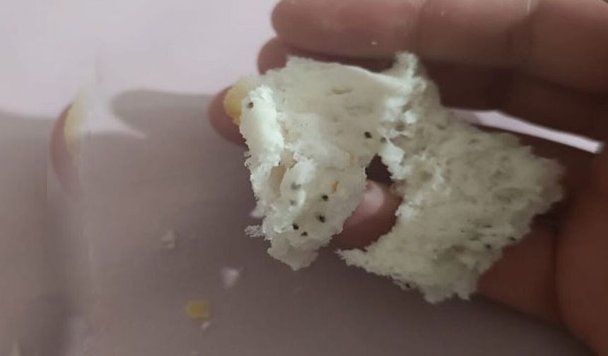 Hakkari’de Ekmeğin İçinden Çıkan Şey Pes Dedirtti