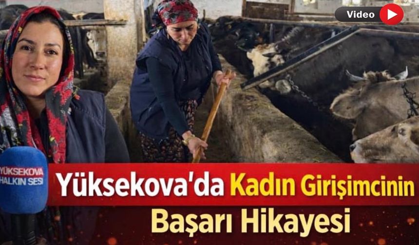 Yüksekova’da Kadın Girişimcinin Başarı Hikâyesi