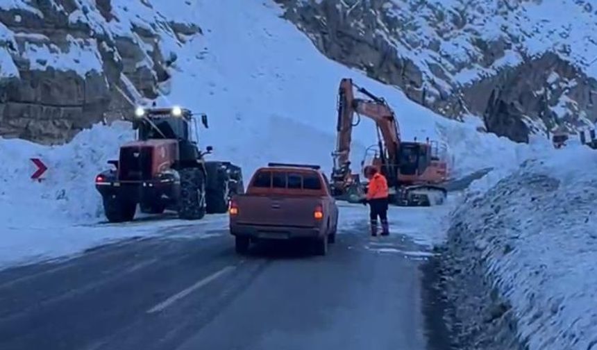 Yüksekova- Hakkâri karayoluna çığ düştü
