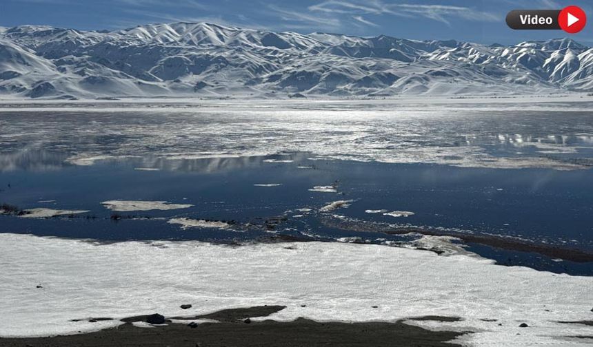 Nehil Sazlığı’nda buzlar çözülmeye başladı