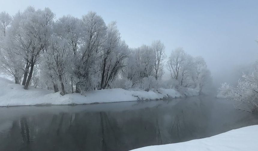 Yüksekova’da Kırağı Ağaçları Beyaza Büründü