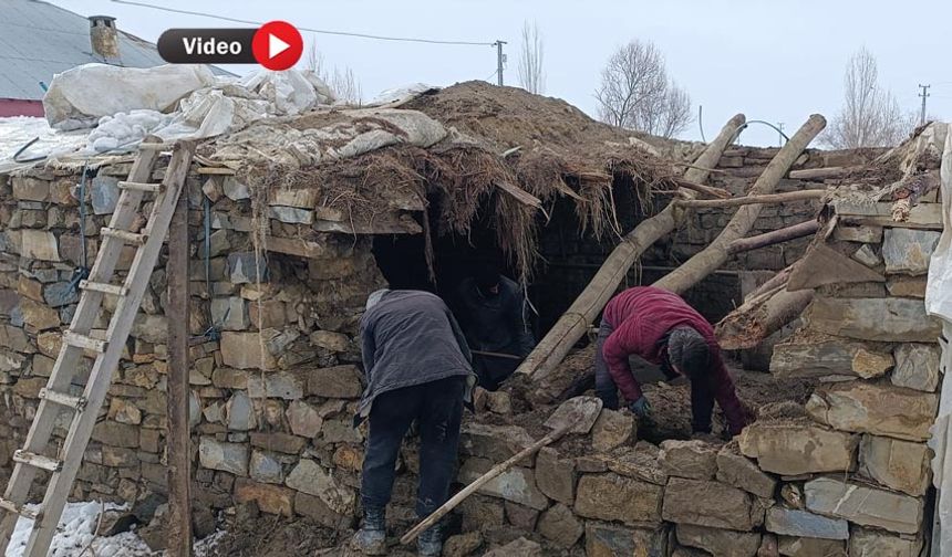 Yüksekova’da Kar Yüküne Dayanamayan Ahır Çöktü